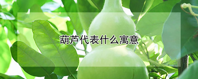«ʲôԢ⣿«Щ壿