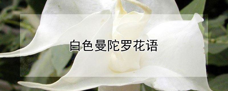 ɫ޵ĻɫЩ