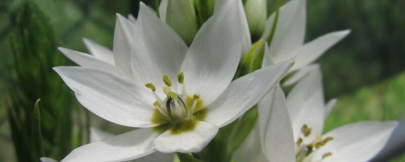 ʻʲô壿