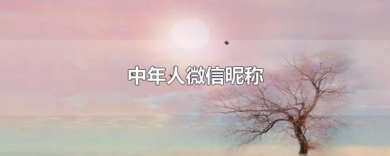 ΢ǳ