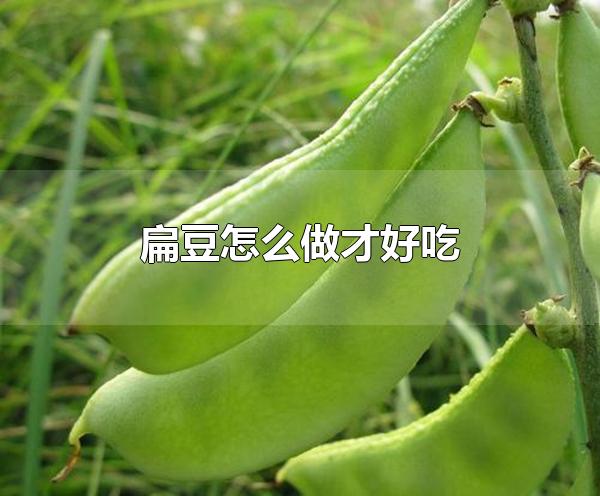 ⶹôźó Աⶹʲô洦