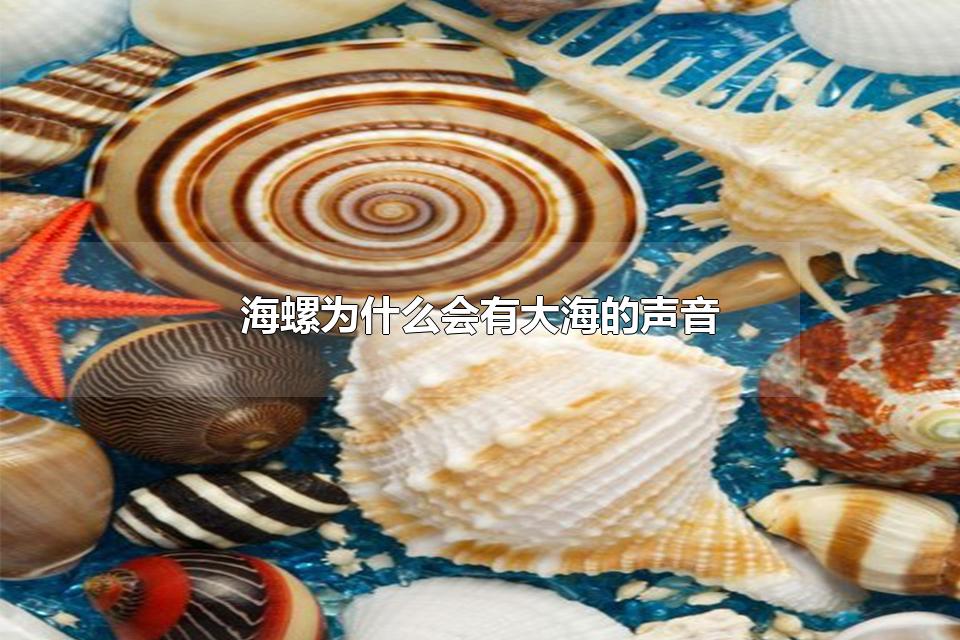 Ϊʲôд󺣵 ԭ