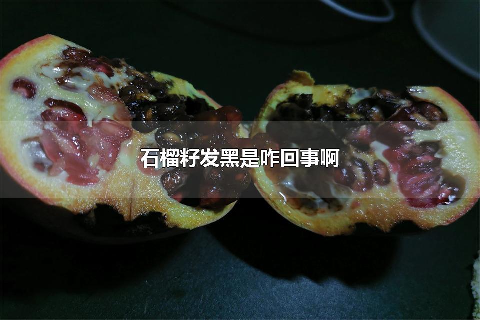 ʯѷզ° ʯķ