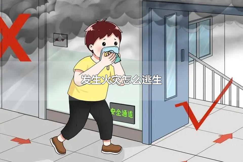 ô ַΪЩ