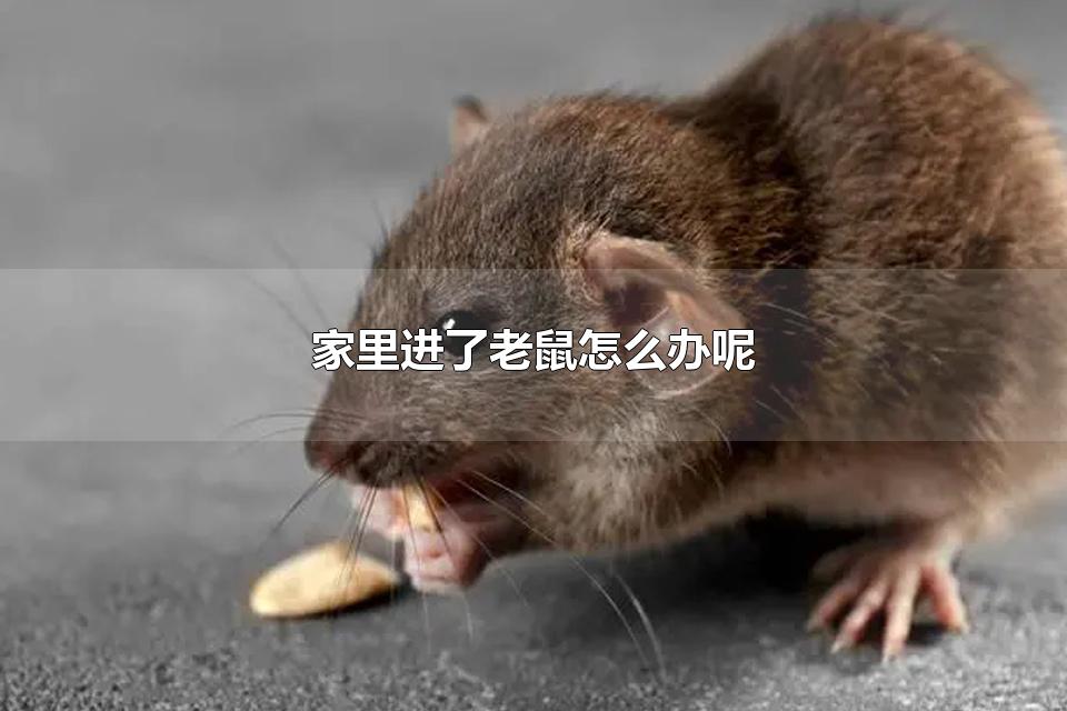 ô Ϊʲô