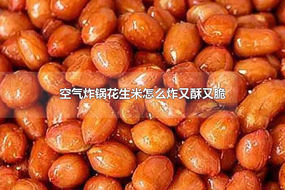 ըôըִ ըըҪϴ