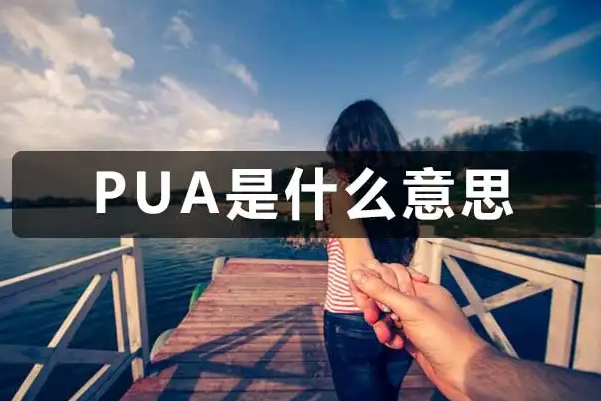 puaʲô˼ôѹȷʽթ(ѹ)