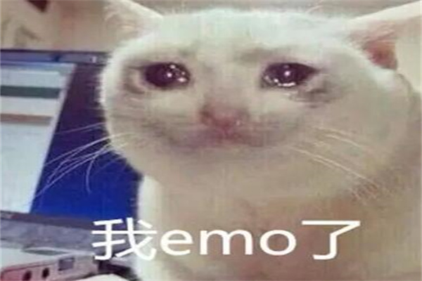 EMOʲô?()