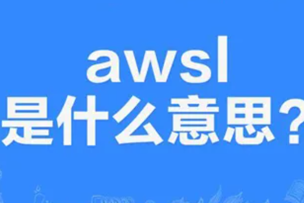awslʲô?˵д(д)