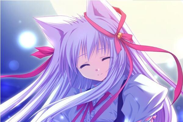 ޶ʲô˼?ӵж(èĲ)