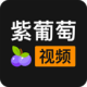 Ƶ