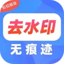 ȥˮӡPro