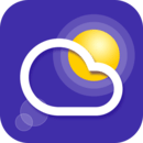 ׼app