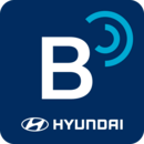 ִbluelink°汾
