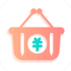 ׼app