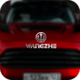߱ɫ