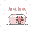 0.3MP Camera