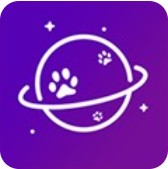 喵星球cat挖矿