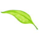 setcpuroot