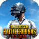 3.0汾(BETA PUBG MOBILE)