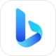 newbing˹