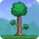 ̩İ(Terraria)
