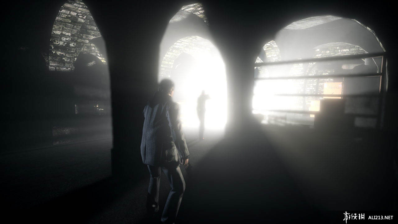 ɱ/ѣAlan Wake޸ 