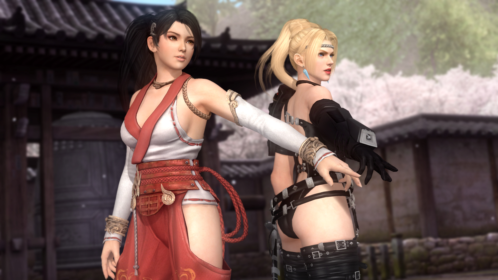 5һսDead Or Alive 5Last RoundħúװMOD[DLC]