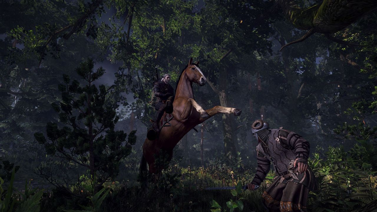 ʦ3ԣThe Witcher 3: Wild HuntȡƷȼ1MOD