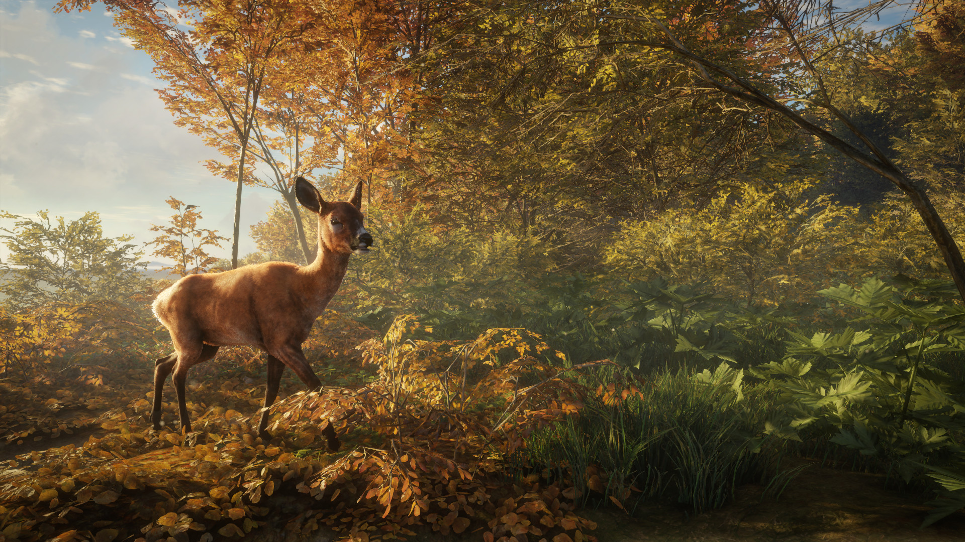 ˣҰԵĺThe Hunter: Call of the Wildv1.9.1ʮ޸