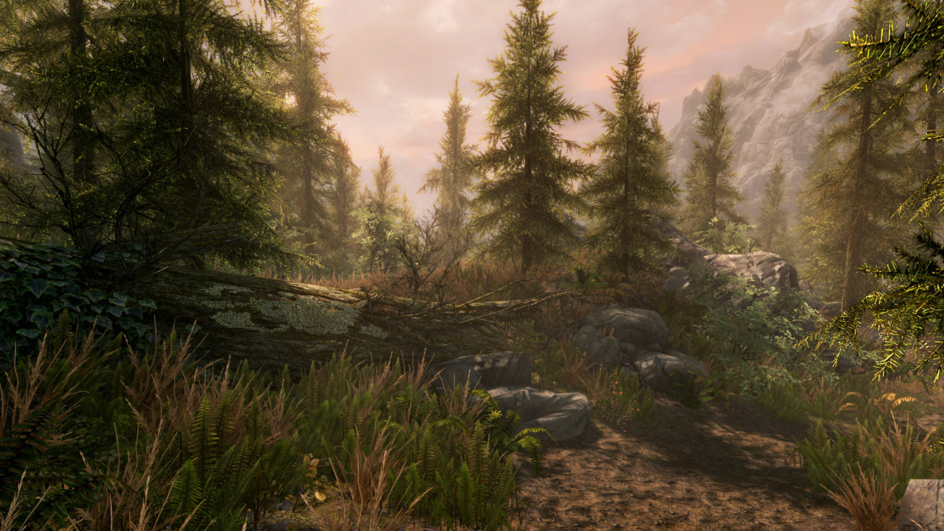 Ϲž5ư棨The Elder Scrolls V: Skyrim Special EditionǳMOD