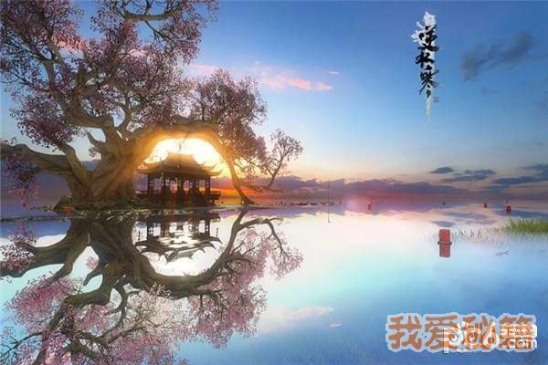 逆水寒智者无情钓鱼竿在哪？附位置及攻略