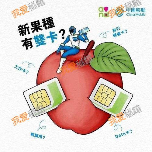 iPhone XCع ˫˫ǵ 