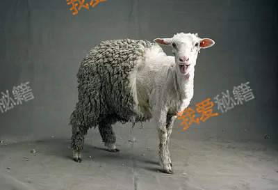 ȤͷģȤͷô?