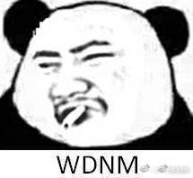 wdnmdЩ? wdnmd˵