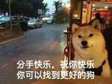 ֿ֣ף֣ҵõĹ doge_ף__doge__ֱ