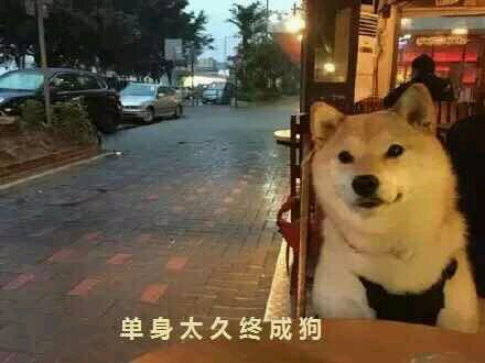 ̫ճɹ__ճ_