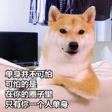 £µȦֻһ˵ - Ϧר_Ϧ__˱