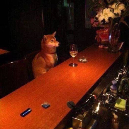 ȫ綼ãֻɢŵ - ǲ_˽__ͼ