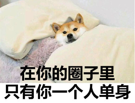 Ȧֻһ˵ - Ϧˣҿʼˡ_
