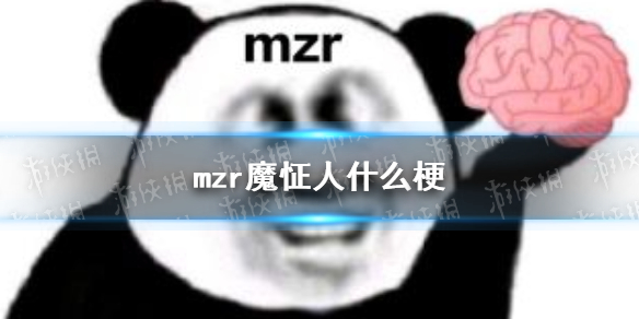 mzr是什麼意思mzr是什麼梗mzr魔怔人梗介紹