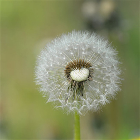 漫长的季节死了几个 漫长的季节套牌车后续是什么