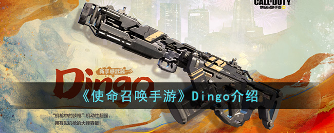 ʹٻΡDingo