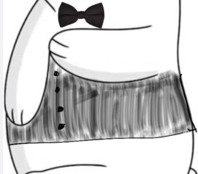 ȦСͼˮӡ ȦСܸͼƬϼ
