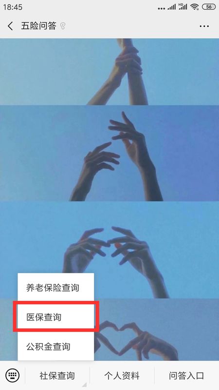 ΢ô籣Ϣ΢Ųѯ籣