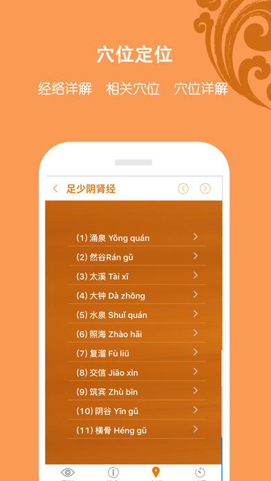 经络高清图免费