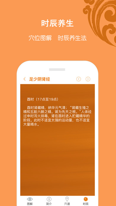 经络高清图免费