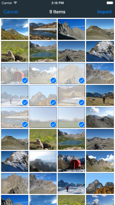 File Transferͼ1