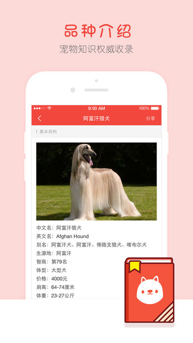 宠物百科