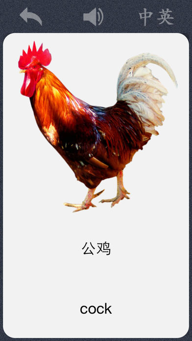 宝宝卡片